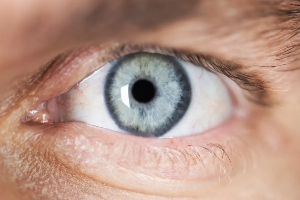 Ojo y mirada.