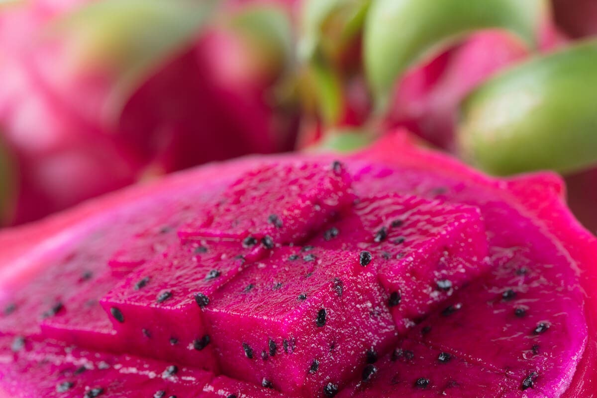 Pitaya en primer plano.