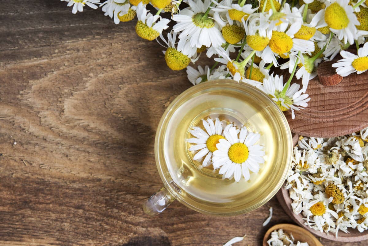 Camomilla per trattare l'endometriosi.