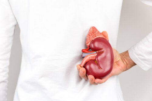 Síntomas y diagnóstico de la insuficiencia renal crónica