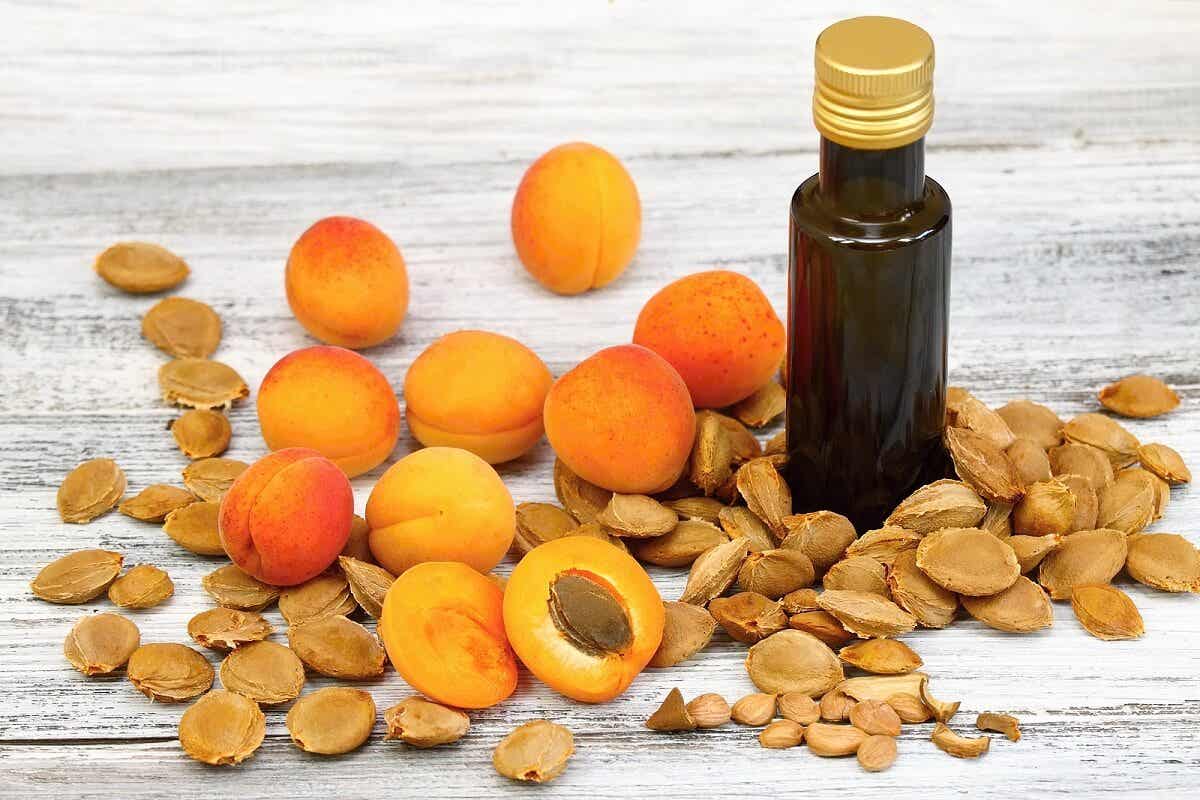 Études liées aux graines d'abricot