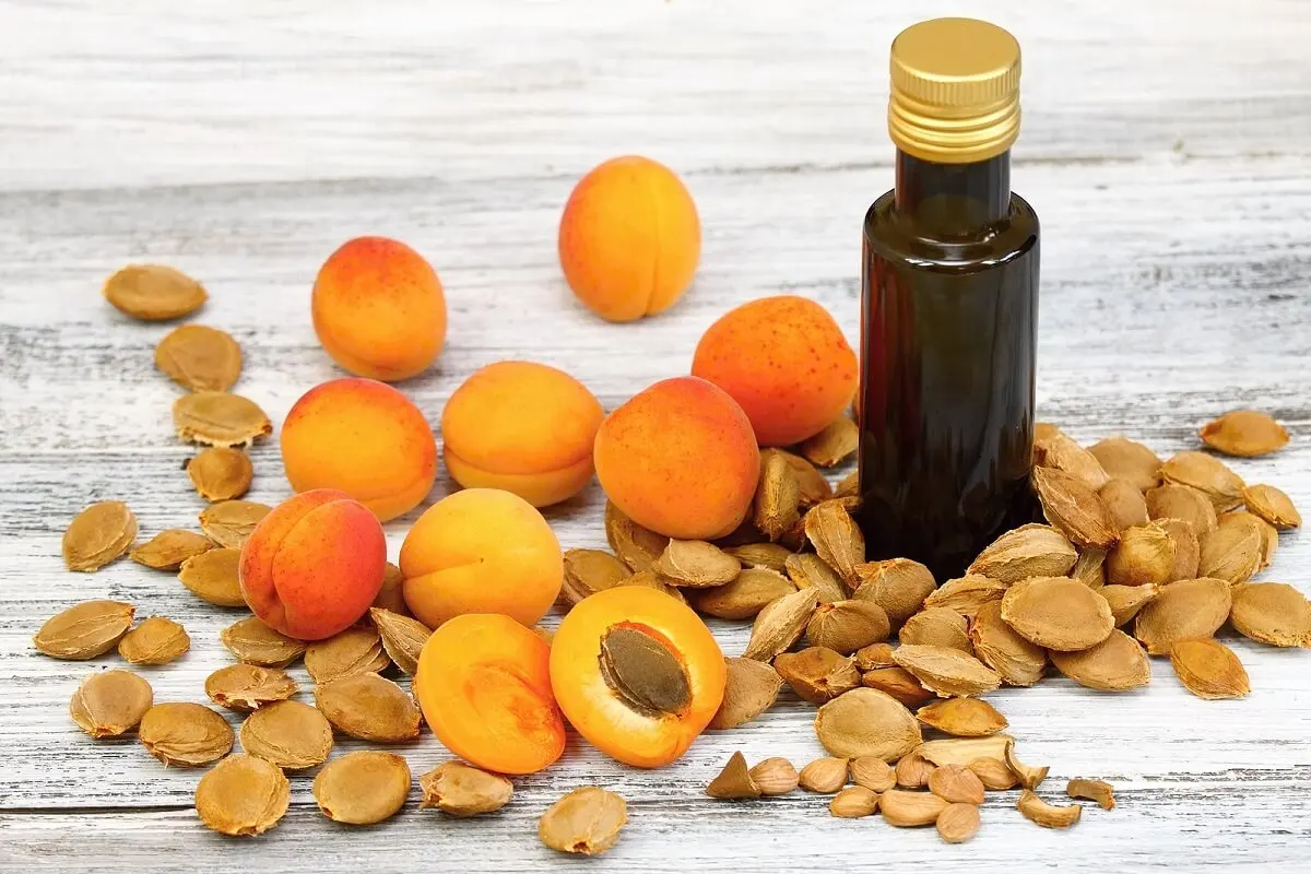 apricot seeds