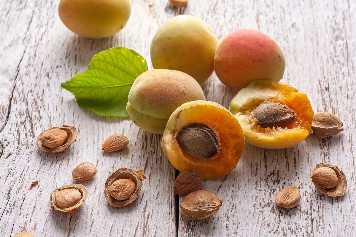 Some apricots.