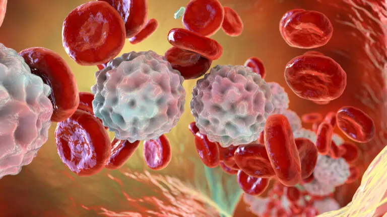 Linfocitosis o recuento de linfocitos alto: ¿en qué consiste?