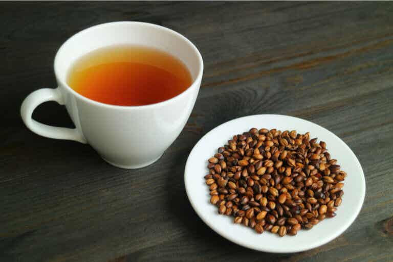 Beneficios del té de cebada y cómo prepararlo