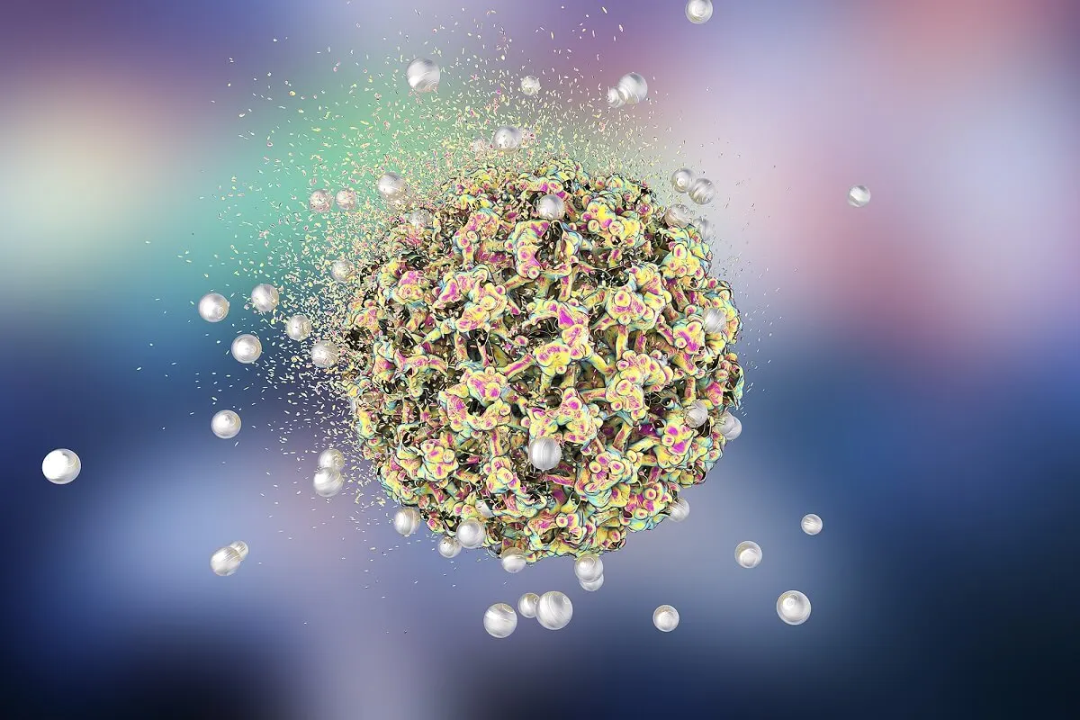 Virus del papiloma humano (VPH).