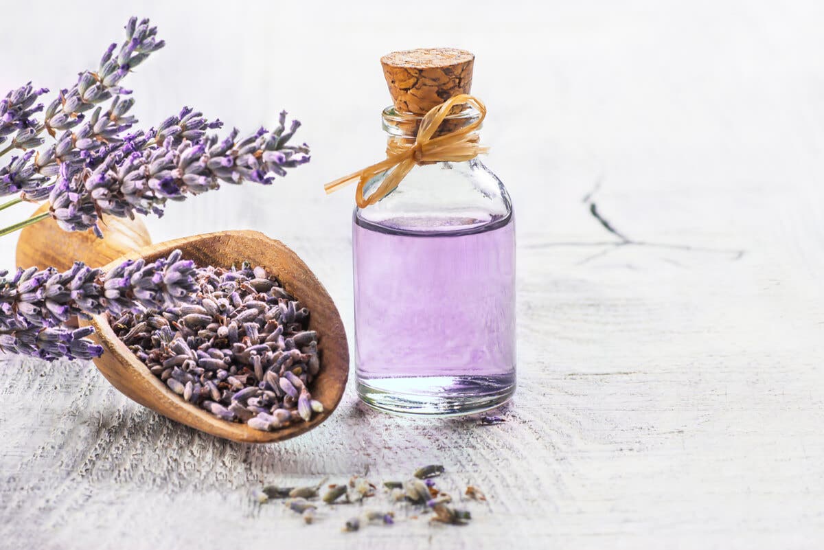 Aceite esencial de lavanda para usar con Aloe vera.
