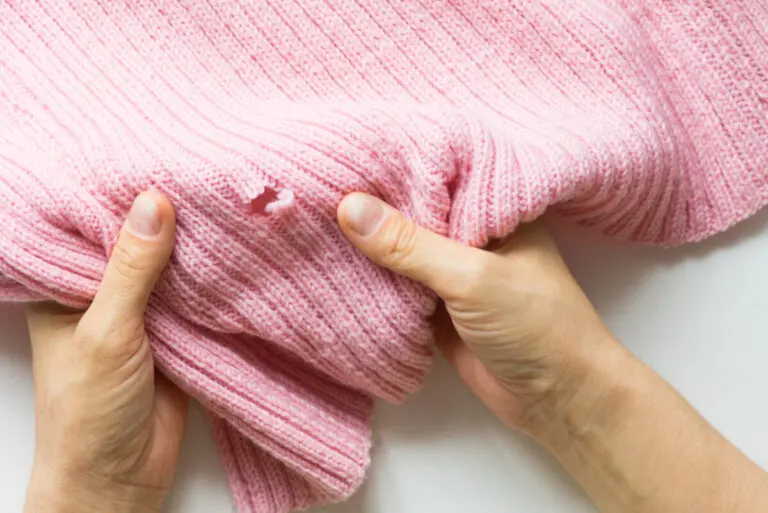¿Cómo eliminar las polillas de la ropa?