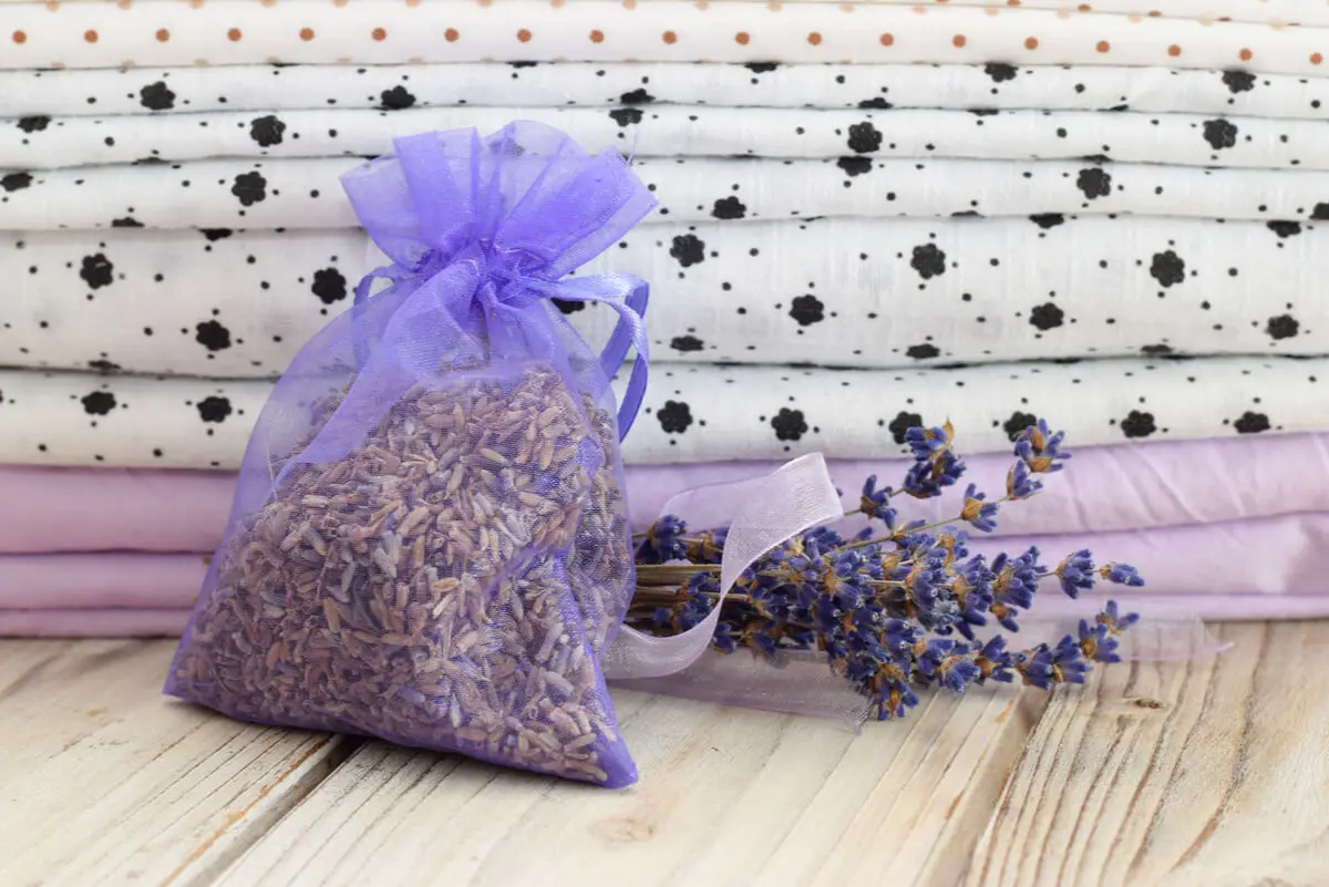Bolsa de lavanda para eliminar polillas de la ropa.