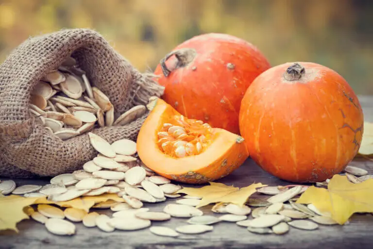 Cómo congelar la calabaza: trucos y consejos