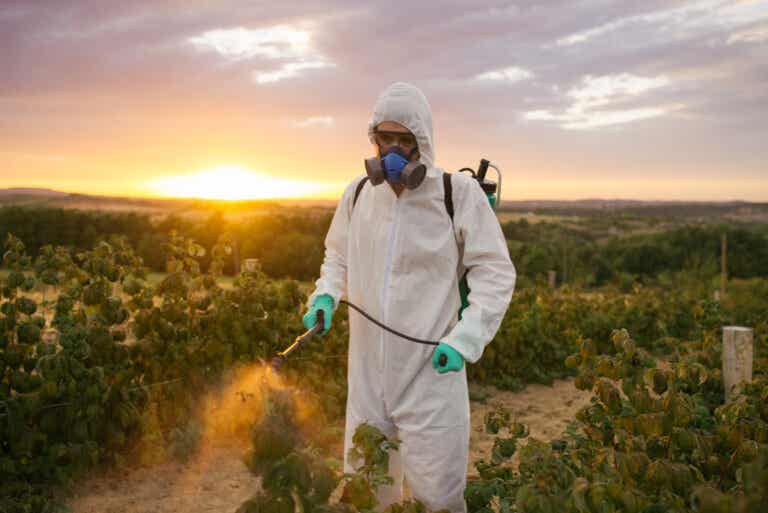 Intoxicación por insecticidas: todo lo que debes saber
