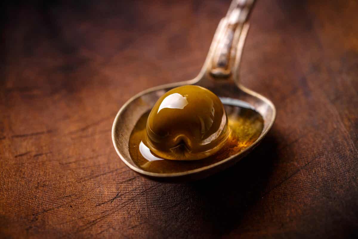 ¿Cuál aceite de oliva es el mejor?