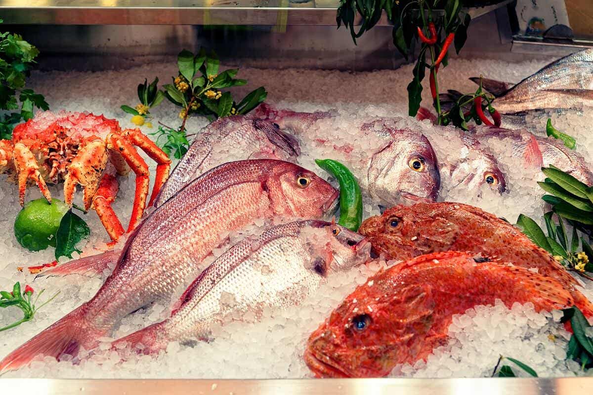 Razones para no consumir estas 5 clases de pescados