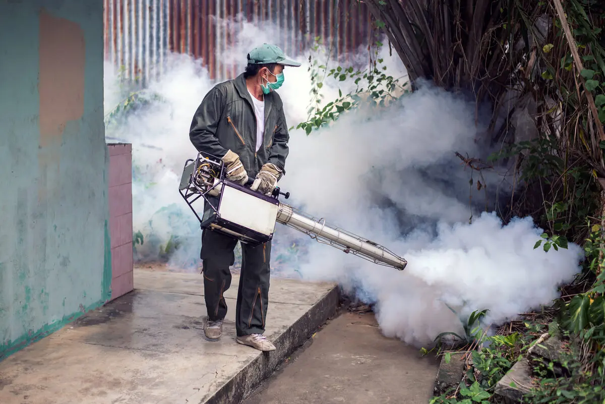Fumigación en las casas.