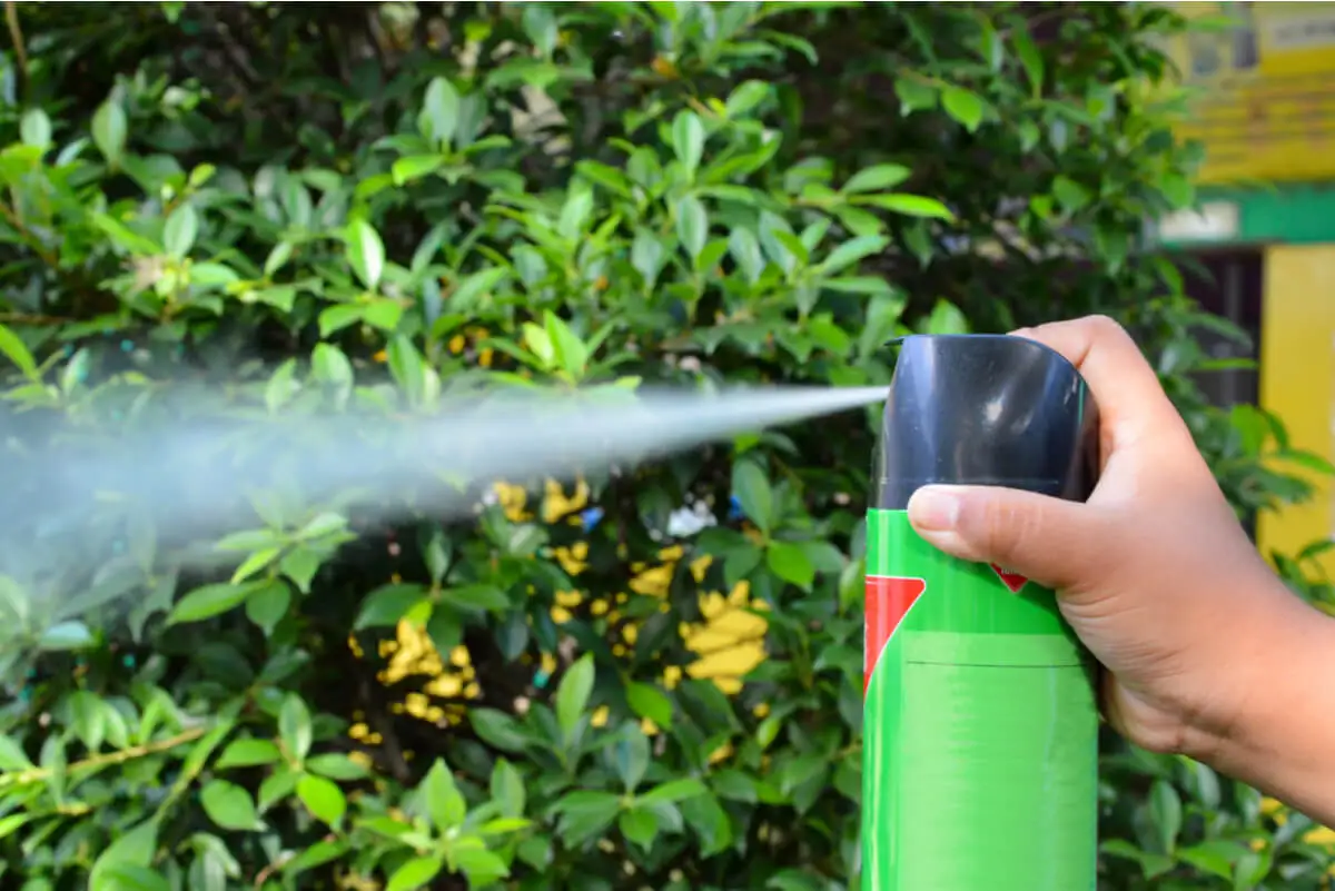 Insecticida para chinches.