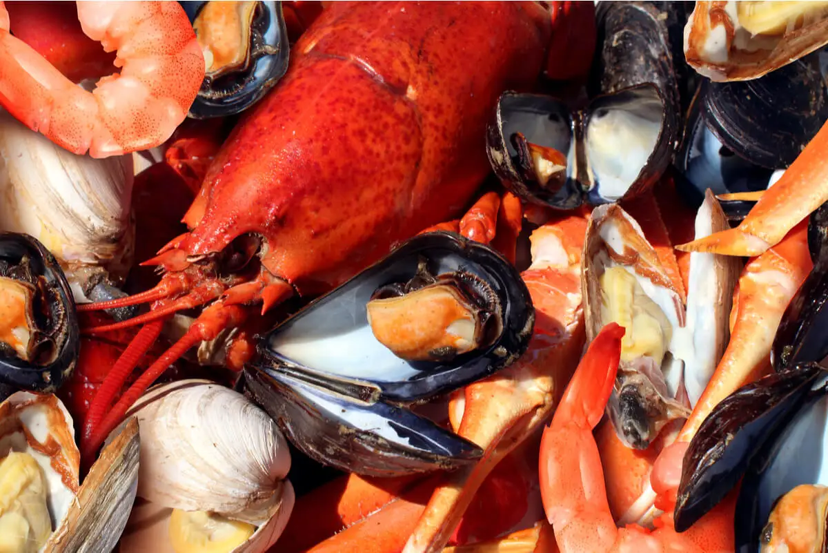 Mariscos y frutos de mar.