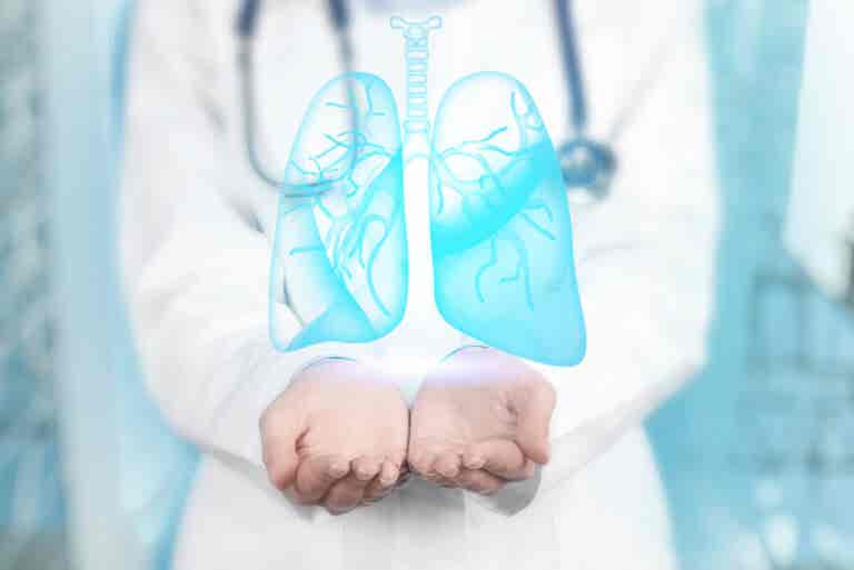 Bronquitis Y Bronquiolitis ¿cuáles Son Sus Diferencias Mejor Con Salud