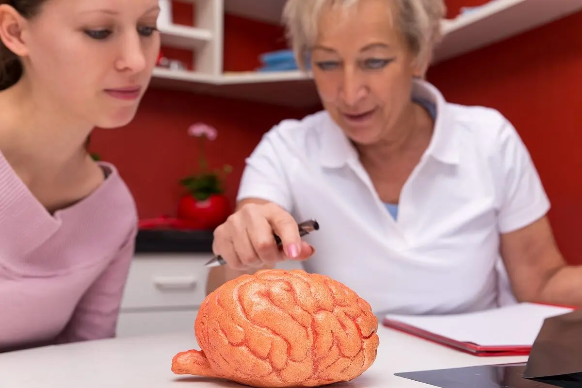 Cerebro explicado.