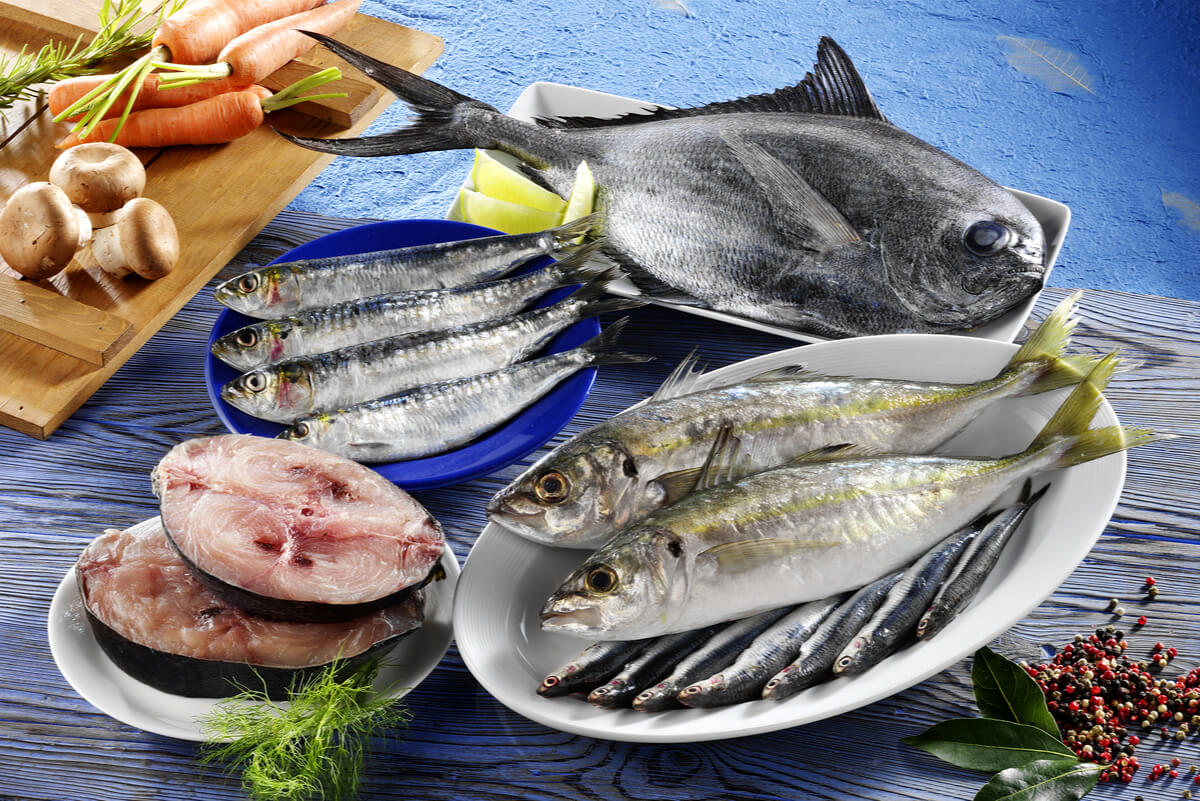 Pangasius - verschiedene Fischarten auf Tellern