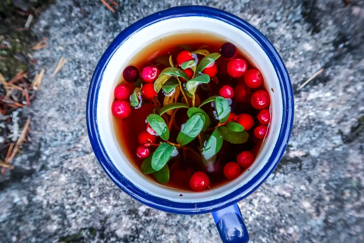 Infusión de naturopatía.