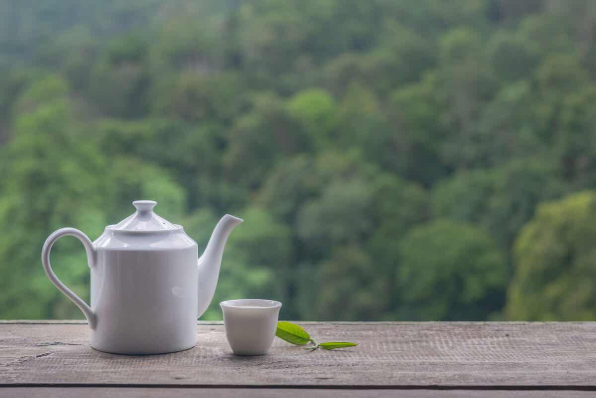 ¿Cuánta cafeína contiene el té blanco?