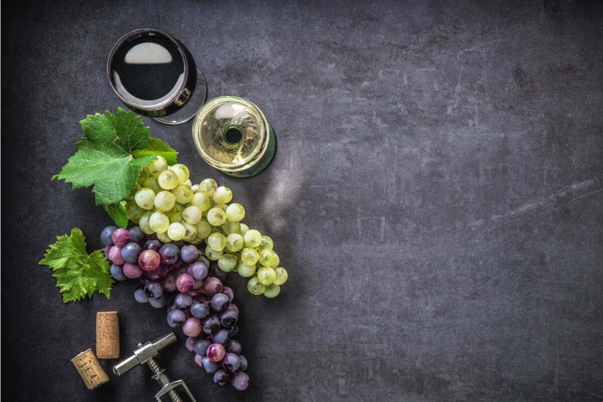 Uvas para la elaboración de vino.