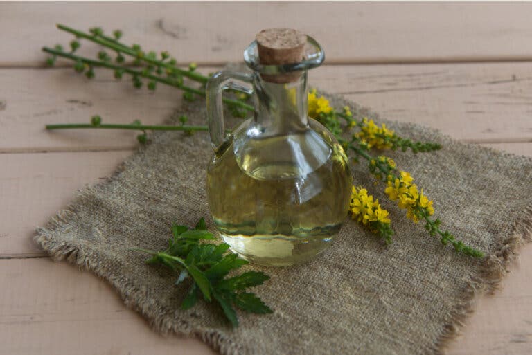 Agrimonia: una planta medicinal que deberías conocer