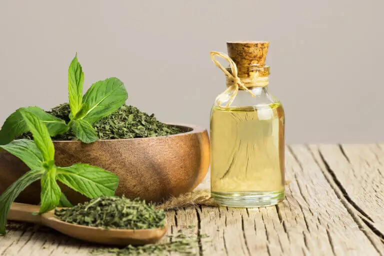 ¿El aceite de menta ayuda contra el síndrome del intestino irritable?