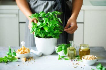 Albahaca: sus beneficios en la artritis reumatoide y 5 formas de usarla