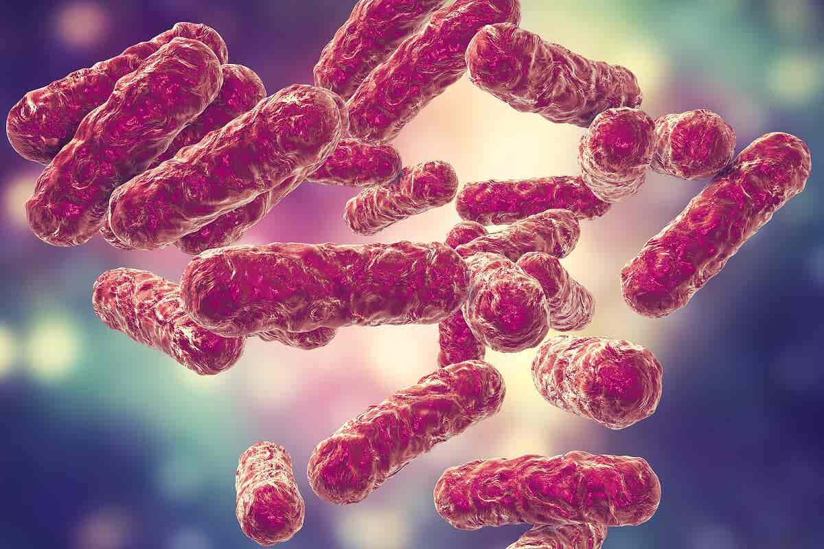 Bacterias resistentes por automedicación