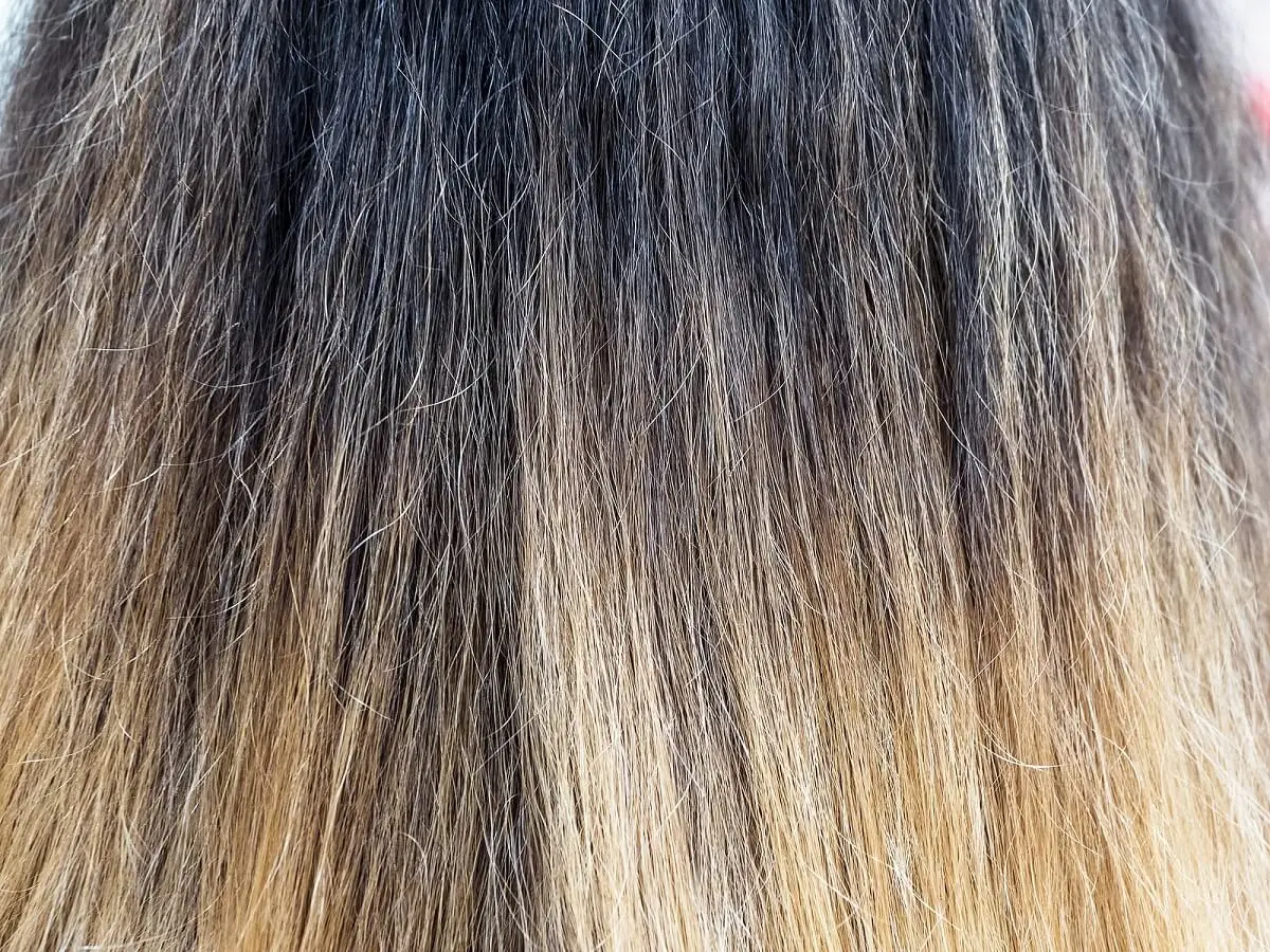 Daños en el cabello