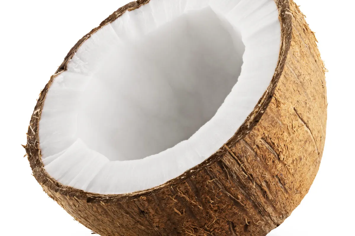 Coco abierto.
