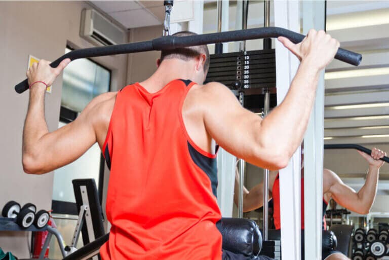 Deltoides posterior: cómo entrenarlos correctamente