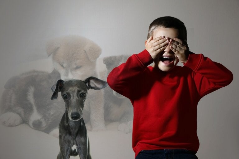 Cinofobia o fobia a los perros: ¿por qué aparece y cómo superarla?