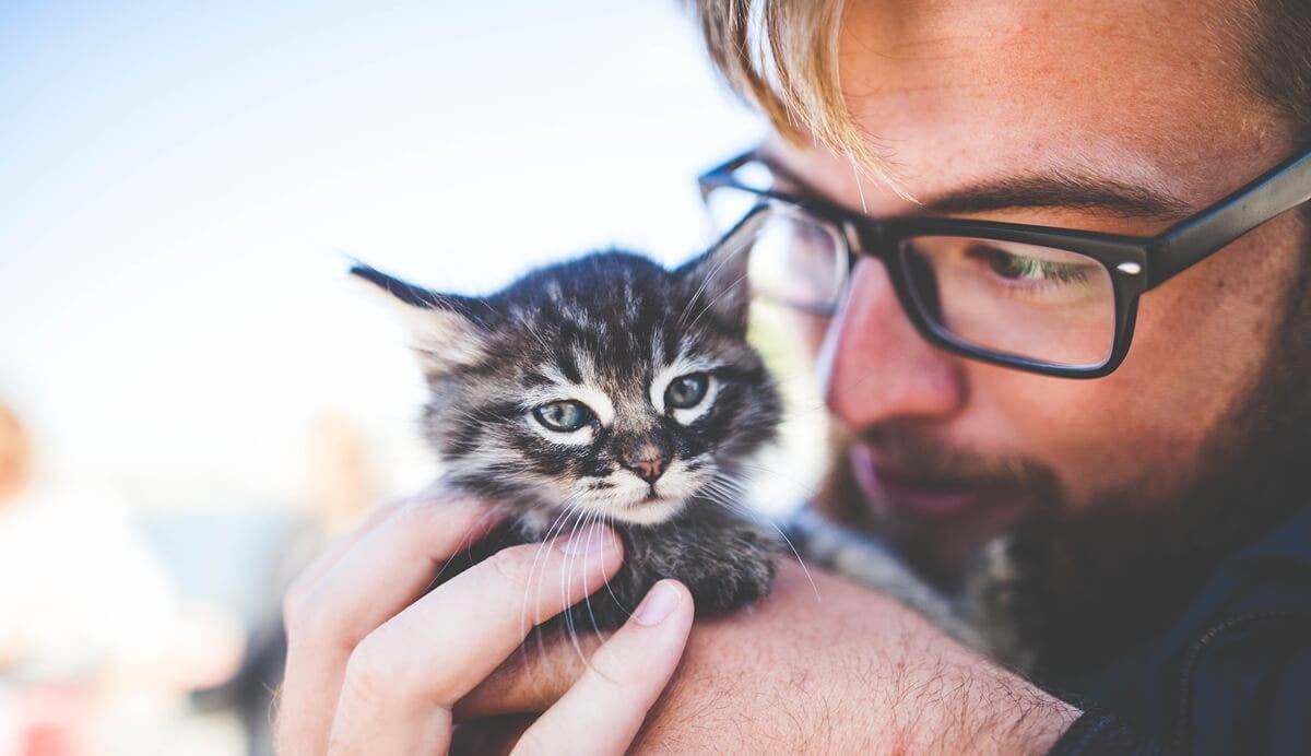 hombre que siente ailurofilia o amor por los gatos
