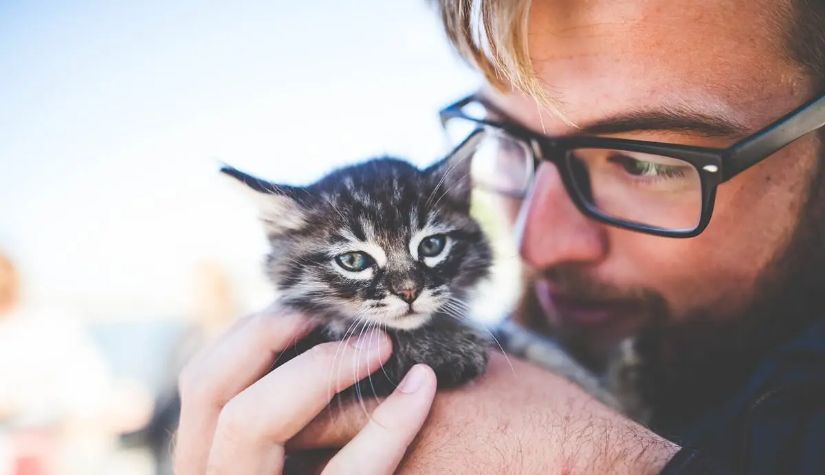 hombre que siente ailurofilia o amor por los gatos