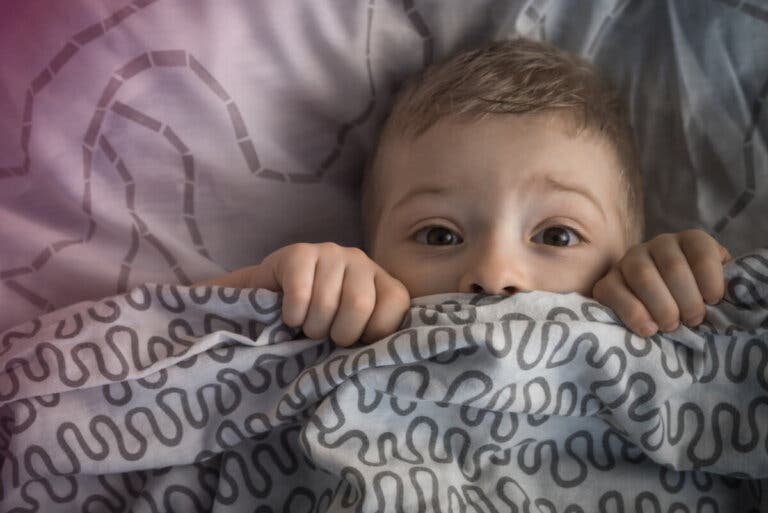 Mi hijo tiene miedo a estar solo