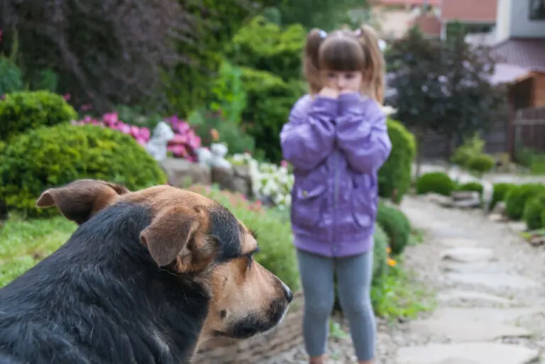 Zoofobia, el miedo a los animales