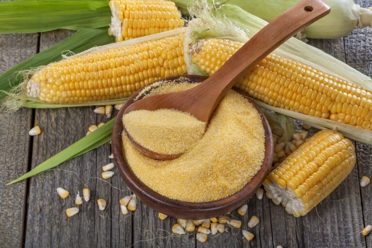 Sémola de maíz: conoce este gran plato
