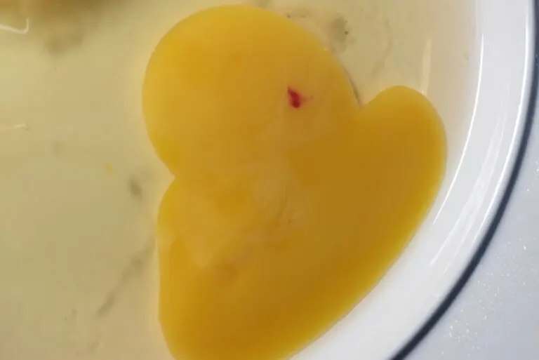 ¿Se pueden comer los huevos que tienen un punto de sangre?