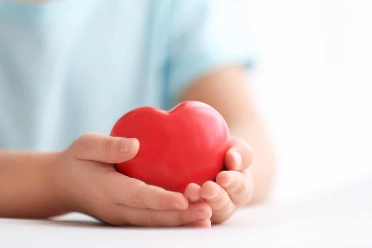 10 curiosidades sobre el funcionamiento del corazón humano