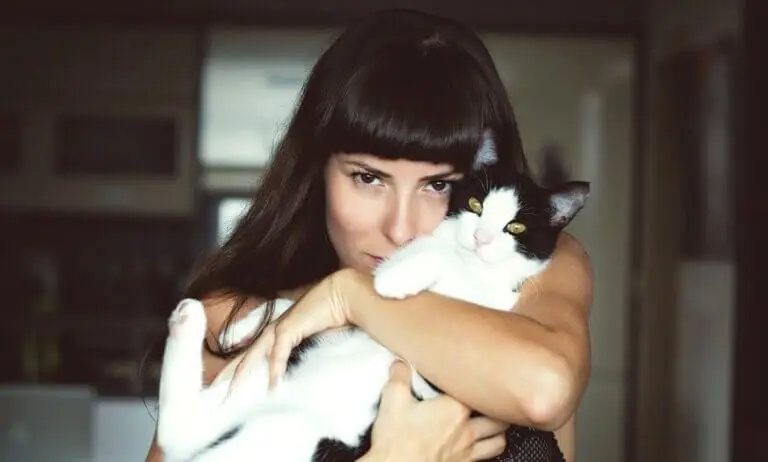 Ailurofilia: amor por los gatos