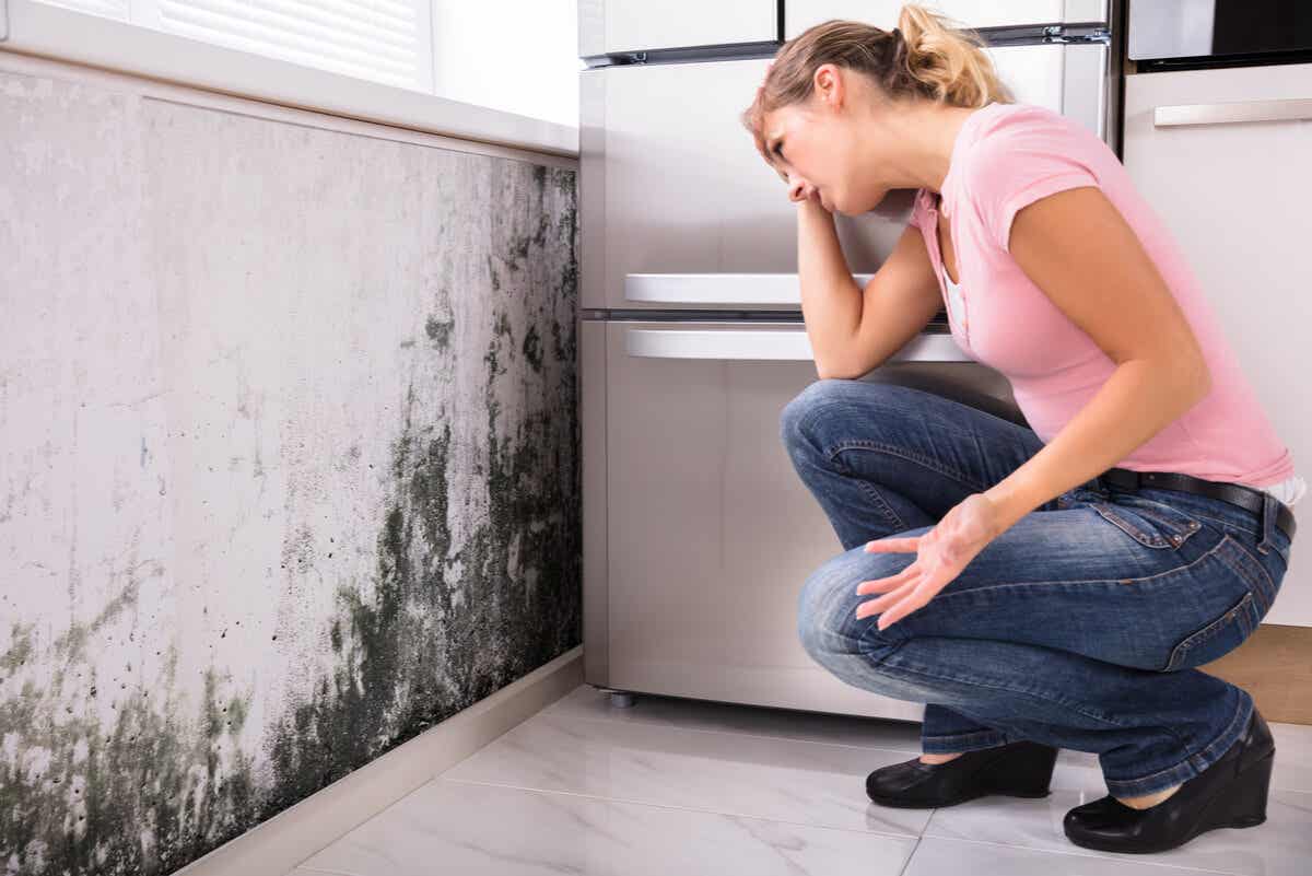 ¿El moho en el hogar causa problemas de salud?