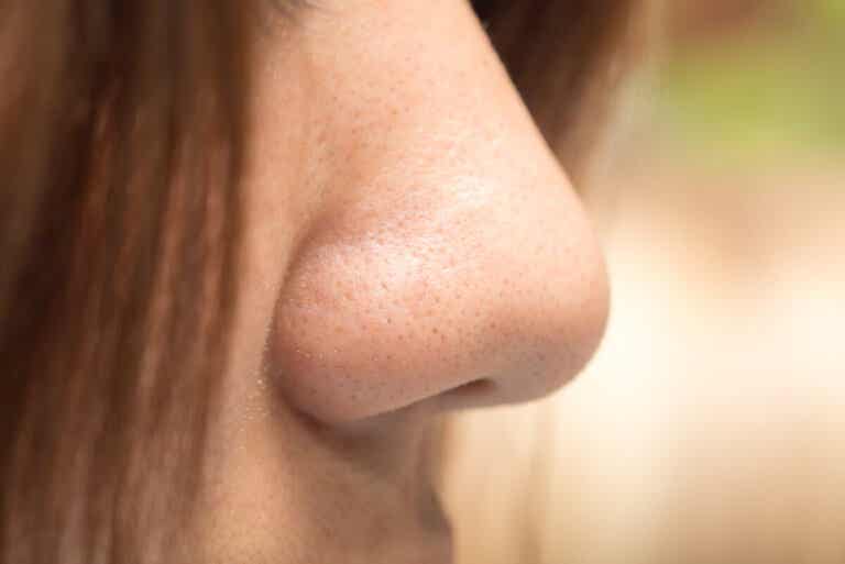 Tipos de nariz: ¿cuál es la tuya?