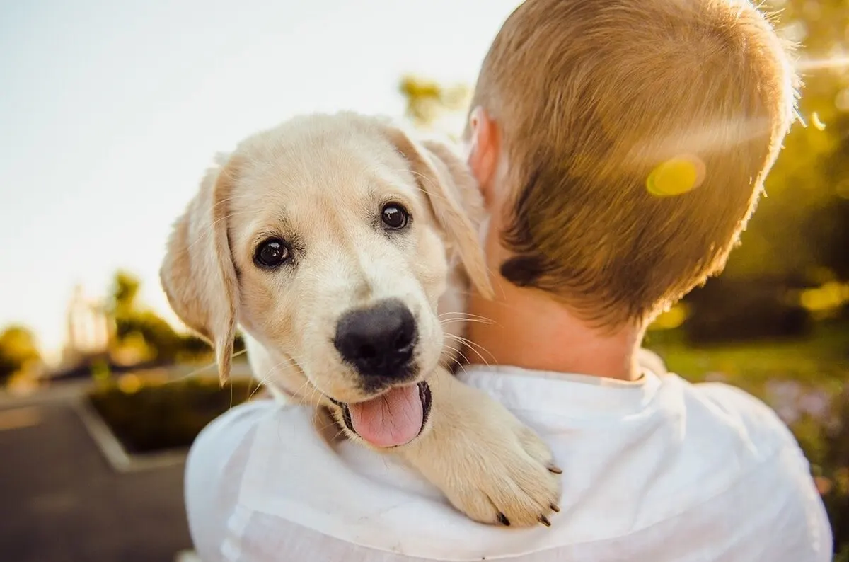 Niño con un perro.