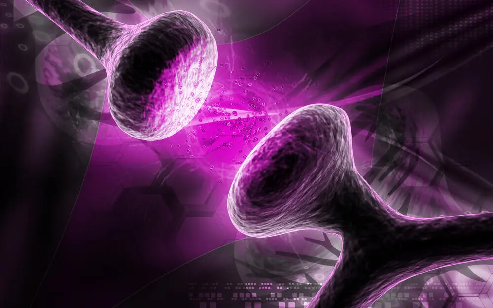 ¿Qué produce el síndrome de la serotonina?