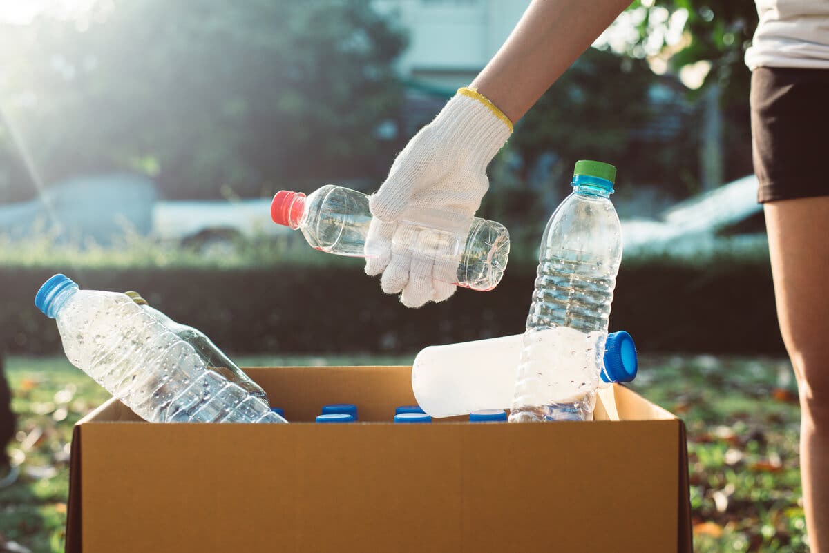 Botellas de plástico en la basura.