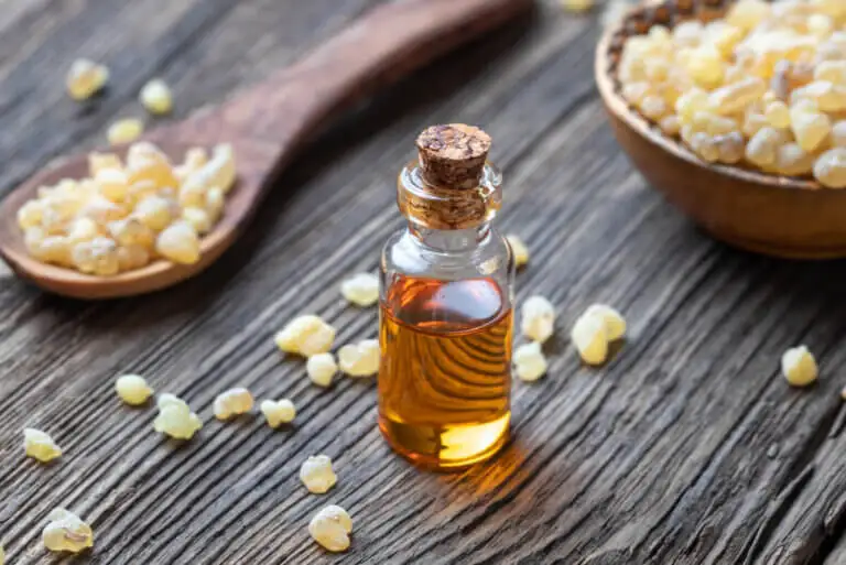 Olíbano o Boswellia: beneficios, dosis y recomendaciones de uso