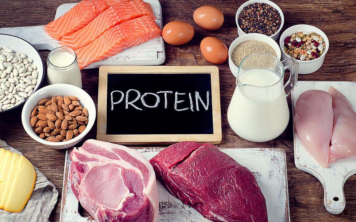 Proteína dyr og proteína vegetal: ¿cuáles son sus diferencias?