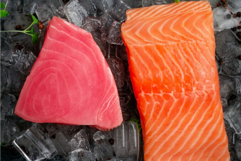 Atún vs. salmón: ¿cuál es el mejor?